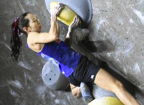 Sport climbing: World Cup bouldering