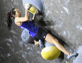 Sport climbing: World Cup bouldering