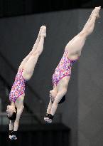 Diving: World Cup in Tokyo