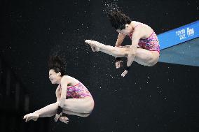 Diving: World Cup in Tokyo