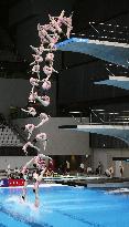 Diving: World Cup in Tokyo