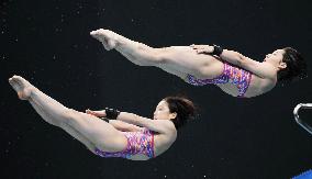 Diving: World Cup in Tokyo