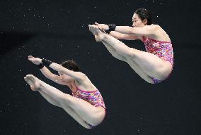 Diving: World Cup in Tokyo