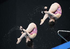 Diving: World Cup in Tokyo