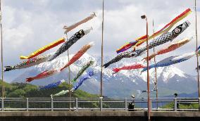 Carp streamers in Japan's Tottori