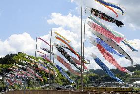 Carp streamers in Japan's Tottori