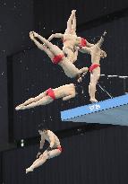 Diving: World Cup in Tokyo