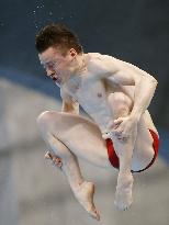 Diving: World Cup in Tokyo