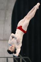 Diving: World Cup in Tokyo