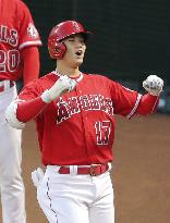 Baseball: Rays vs. Angels