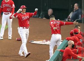 Baseball: Rays vs. Angels