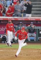 Baseball: Rays vs. Angels