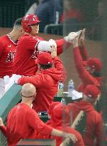 Baseball: Rays vs. Angels