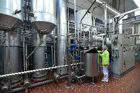 Linea Nivnice