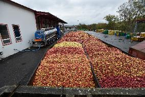 Linea Nivnice