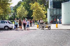 Tirana, pedestrian crossing