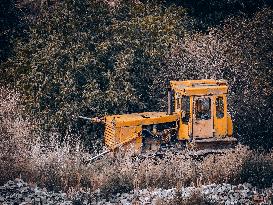 Old buldozer, bushes