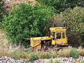 Old buldozer, bushes