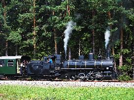 Steam Locomotive, Forest, Rails
