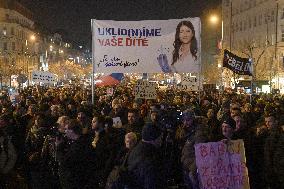 protest against PM Andrej Babis, poster Dita Protopopova
