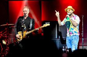 STING, SHAGGY