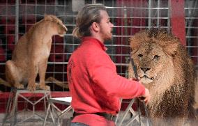 Circus Humberto, lion, lions