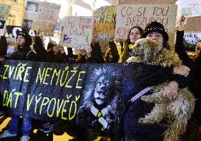 march for circuses without animals