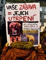 march for circuses without animals