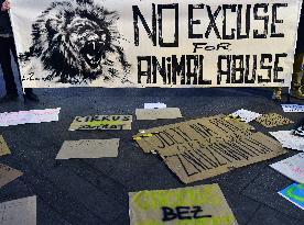 march for circuses without animals, banner NO EXCUSE FOR ANIMAL ABUSE