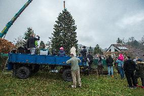 Christmas tree for Prague