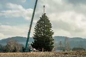 Christmas tree for Prague