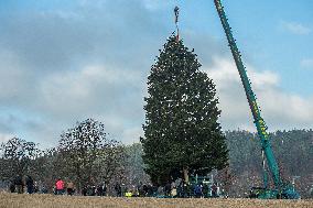 Christmas tree for Prague