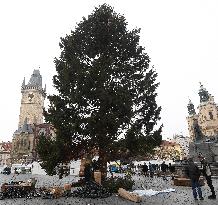 Prague Christmas tree, Old Town Square, installation