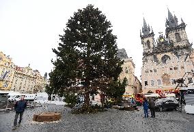 Prague Christmas tree, Old Town Square, installation