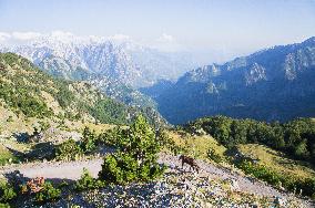 Thethi National Park, Prokletije Mountains, road, horse