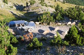 Thethi National Park, Prokletije Mountains, sheep herd, road, offroad car