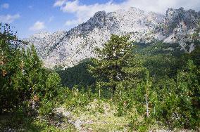 Thethi National Park, Prokletije Mountains