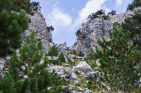 Thethi National Park, Prokletije Mountains, red touristic sign, mark