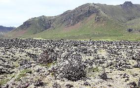 Snaefellsnes peninsula, lanscape, lava field