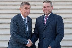 Andrej Babis, Peter Pellegrini