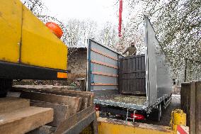 transport box, Southern white rhinoceros female Jabulina, Ceratotherium simum simum