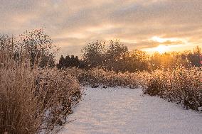 The golden dawn in the winter landscape with white frost