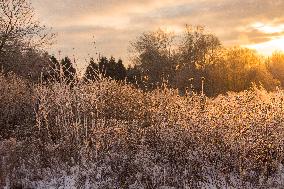 The golden dawn in the winter landscape with white frost