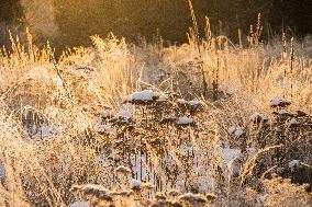 The golden dawn in the winter landscape with white frost