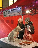 protest happening Selling of Christmas dogs