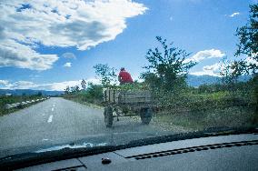 a horse cart riding by young man