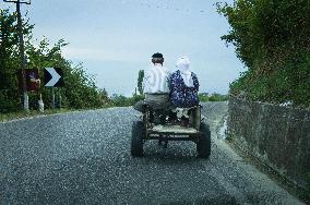 a donkey cart riding by elderly man and woman