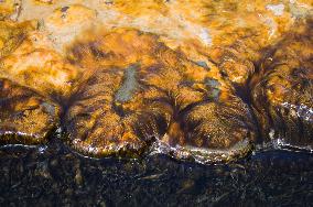 Hotova National Park, Benje thermal baths, alga