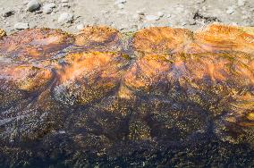 Hotova National Park, Benje thermal baths, alga