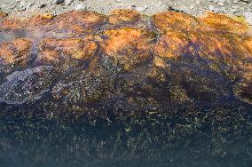 Hotova National Park, Benje thermal baths, alga